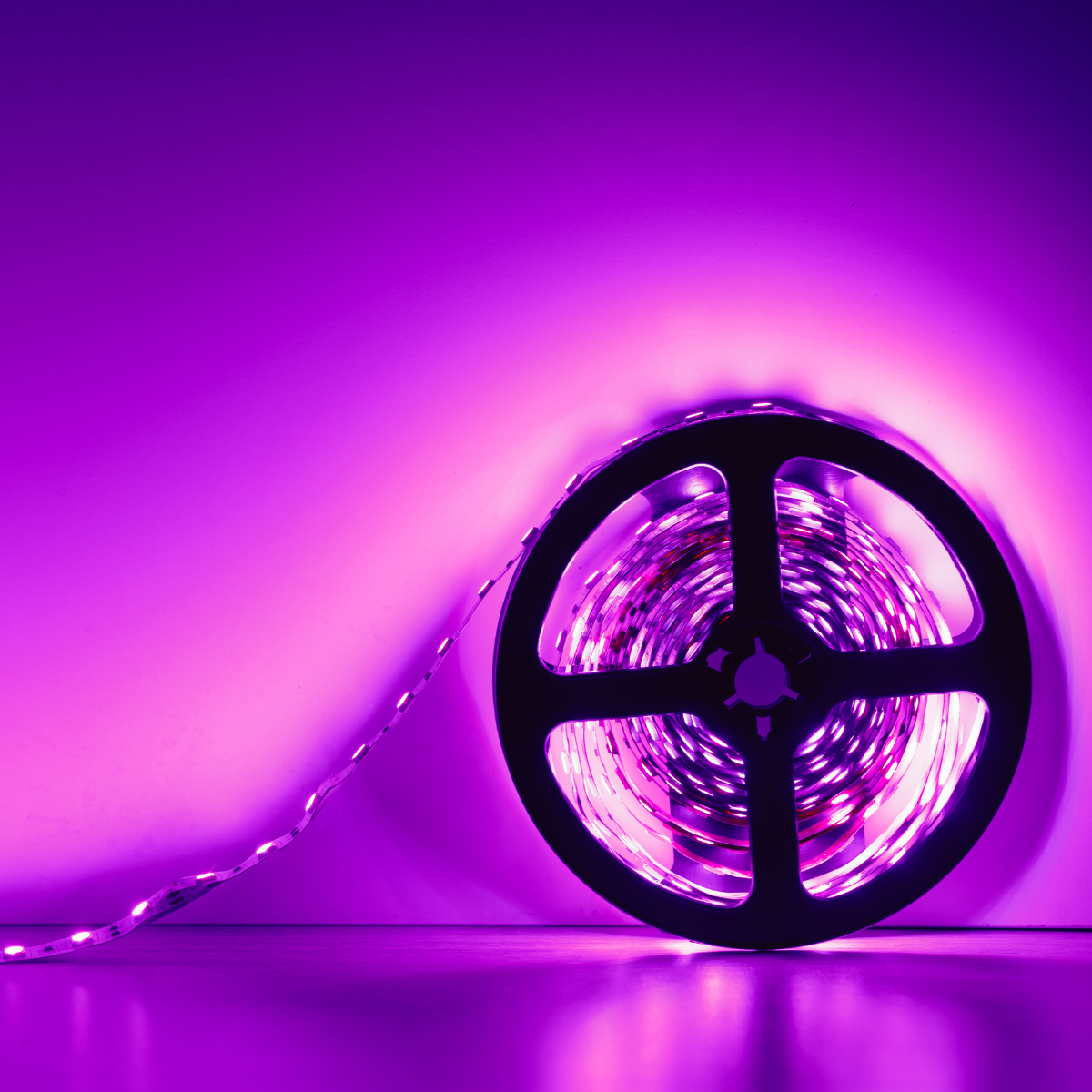 Discover the Best LED Panel Lights, Strips & Neon Designs for Every Space