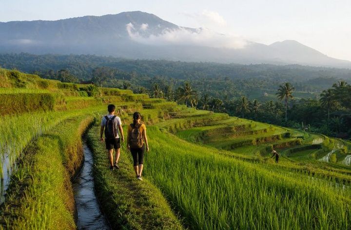 Vietnam Rice Terrace Villages Overview With Sapa, Mu Cang Chai, and Village Details