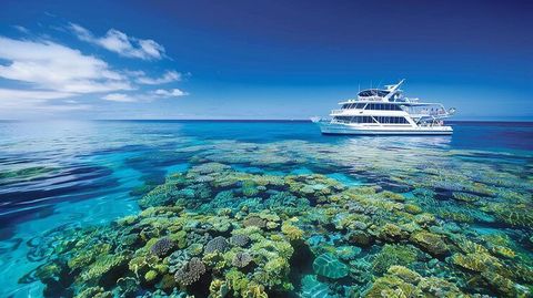 Tour Guide Arrangements Information With Transportation, Activities, and Tour Planning