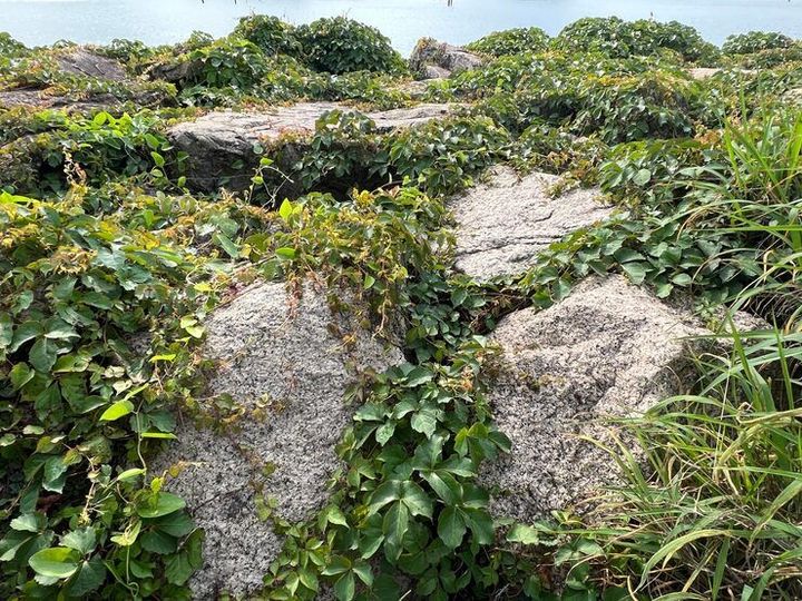 Stone Crushing Plants Guide With Modern Machinery, Processing Methods, and Engineering Insights