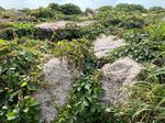 Stone Crushing Plants Guide With Modern Machinery, Processing Methods, and Engineering Insights