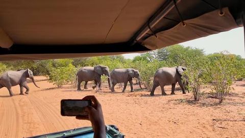 Family Vacation Villas Guide With Comfortable Stays and Travel Planning Tips