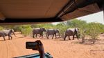 Safari Africa Overview With Game Drives, Nature, and Destination Insights