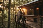Treehouse Hotels Information With Canopy Stays, Amenities, and Vacation Planning Tips