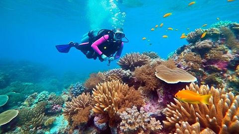 Dubai Travel Trip Guide With Itinerary Planning and Destination Information